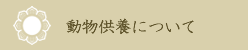 動物供養について